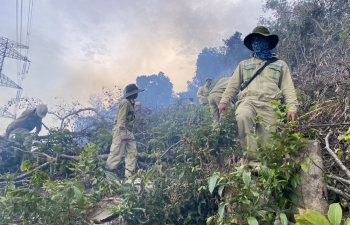 Cháy rừng gây sự cố đường dây 500kV Dốc Sỏi – Pleiku 2