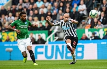 Vòng 6 Ngoại hạng Anh 2019/20: Xem trực tiếp Newcastle vs Brighton ở đâu?