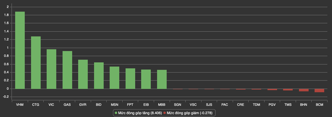 Chứng khoán đảo chiều bật tăng hơn 19 điểm - 1