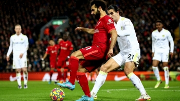 Link xem trực tiếp Liverpool vs Leeds (Ngoại hạng Anh), 1h45 ngày 30/10