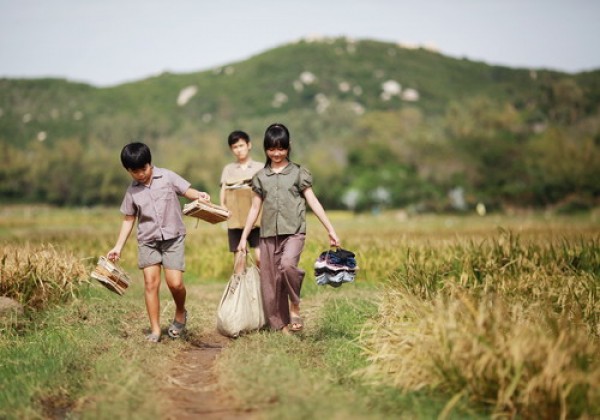 phu yen va toi thay hoa vang tren co xanh