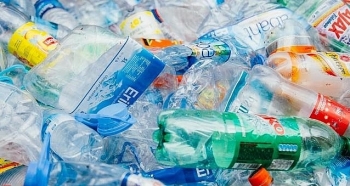 Phát hiện loại enzyme giúp xử lý 1 tấn rác thải nhựa trong vài giờ