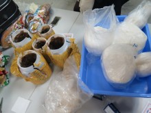 vi khach nam phi mang 17 kg cocaine vao viet nam