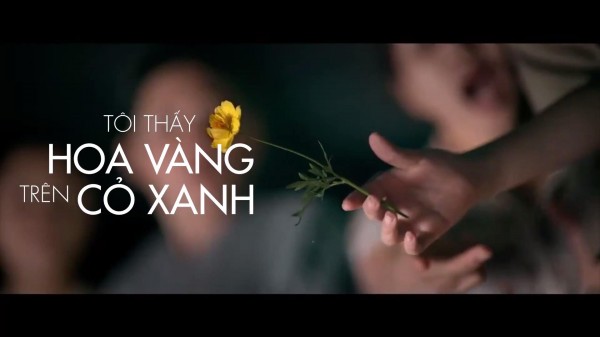 vi sao toi thay hoa vang tren co xanh hot