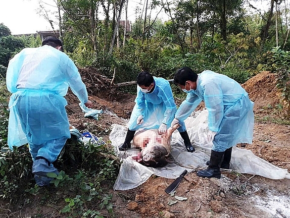 khong de dich dich ta lon lay lan them nua phai thuc hien dong bo cac giai phap an toan sinh hoc