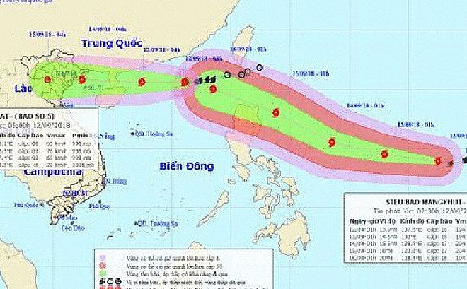 bo y te chi dao trien khai cong tac ung pho voi bao so 5