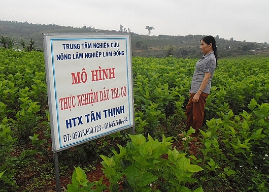 tin tuc kinh te 910 nang luc canh tranh cua viet nam tang manh nhat the gioi