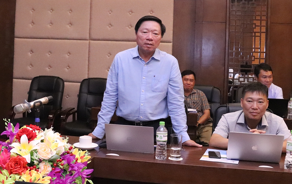 Tăng tốc để hoàn thành Dự án đường dây 500kV mạch 3 đoạn Quảng Trạch – Vũng Áng trong tháng 7/2022