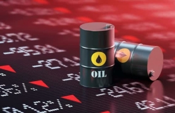 Giá xăng dầu hôm nay 12/6: Giá dầu thế giới trên đà lao dốc mạnh