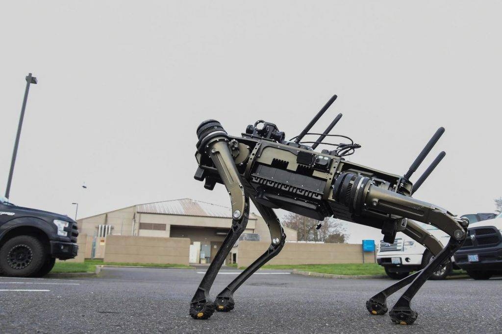 Chú chó robot đầu tiên trên thế giới có thể 