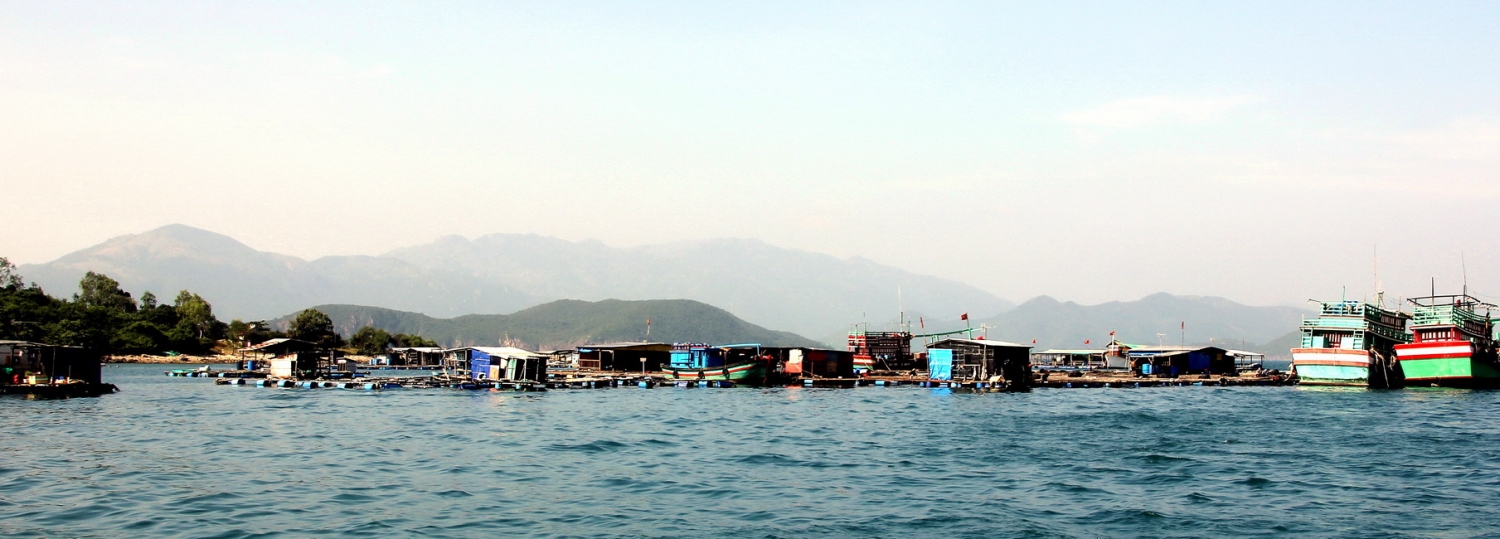 Tạm dừng hoạt động du lịch lặn biển: Biện pháp phục hồi các rạn san hô trong vịnh Nha Trang