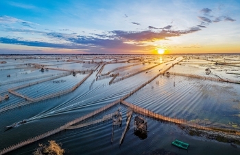 Khám phá Tam Giang - Cầu Hai