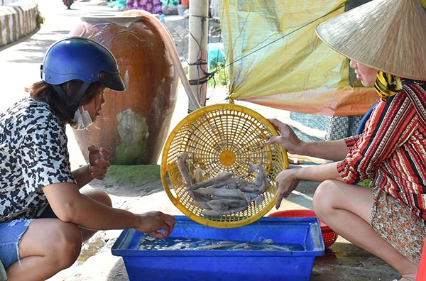 Lộc biển Hòn Sơn