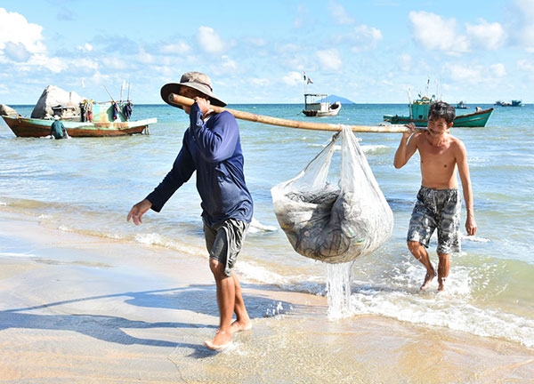 Lộc biển Hòn Sơn