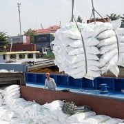 Tin tức kinh tế ngày 13/11: Giá gạo Việt Nam xuất khẩu cao nhất thế giới