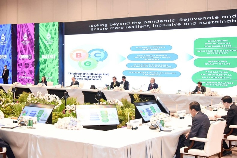 Phiên họp hẹp Hội nghị các nhà lãnh đạo kinh tế APEC lần thứ 29 (phiên thứ nhất).