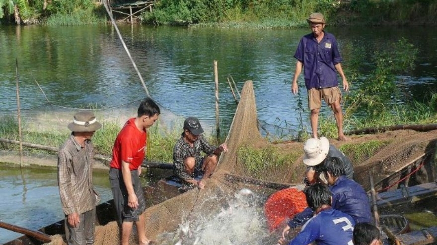 Trở lại Thanh Chăn