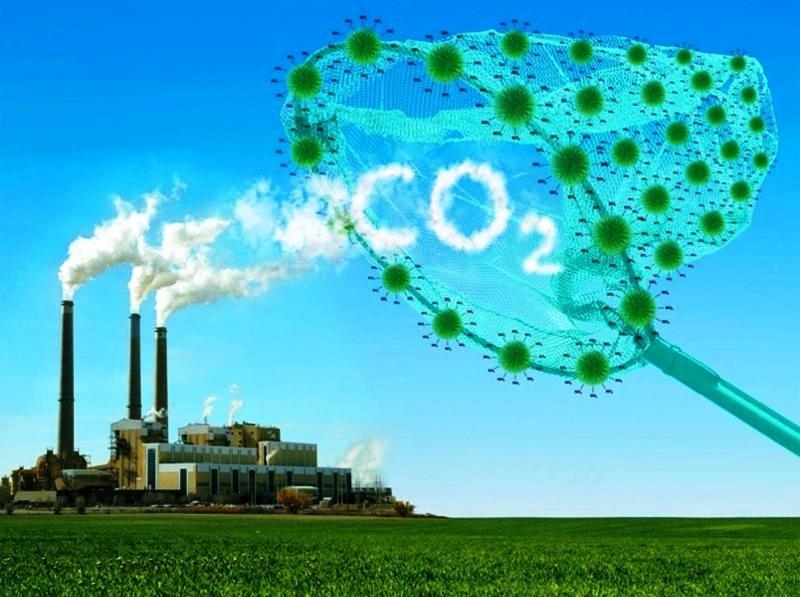 Australia hỗ trợ 6 dự án phát triển thị trường carbon tại Việt Nam