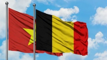 Tin Bộ Ngoại giao: Các thông tin cơ bản về quan hệ Việt Nam - Vương quốc Bỉ