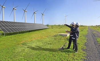 Tín hiệu khởi sắc cho các doanh nghiệp phát triển điện gió tại Việt Nam