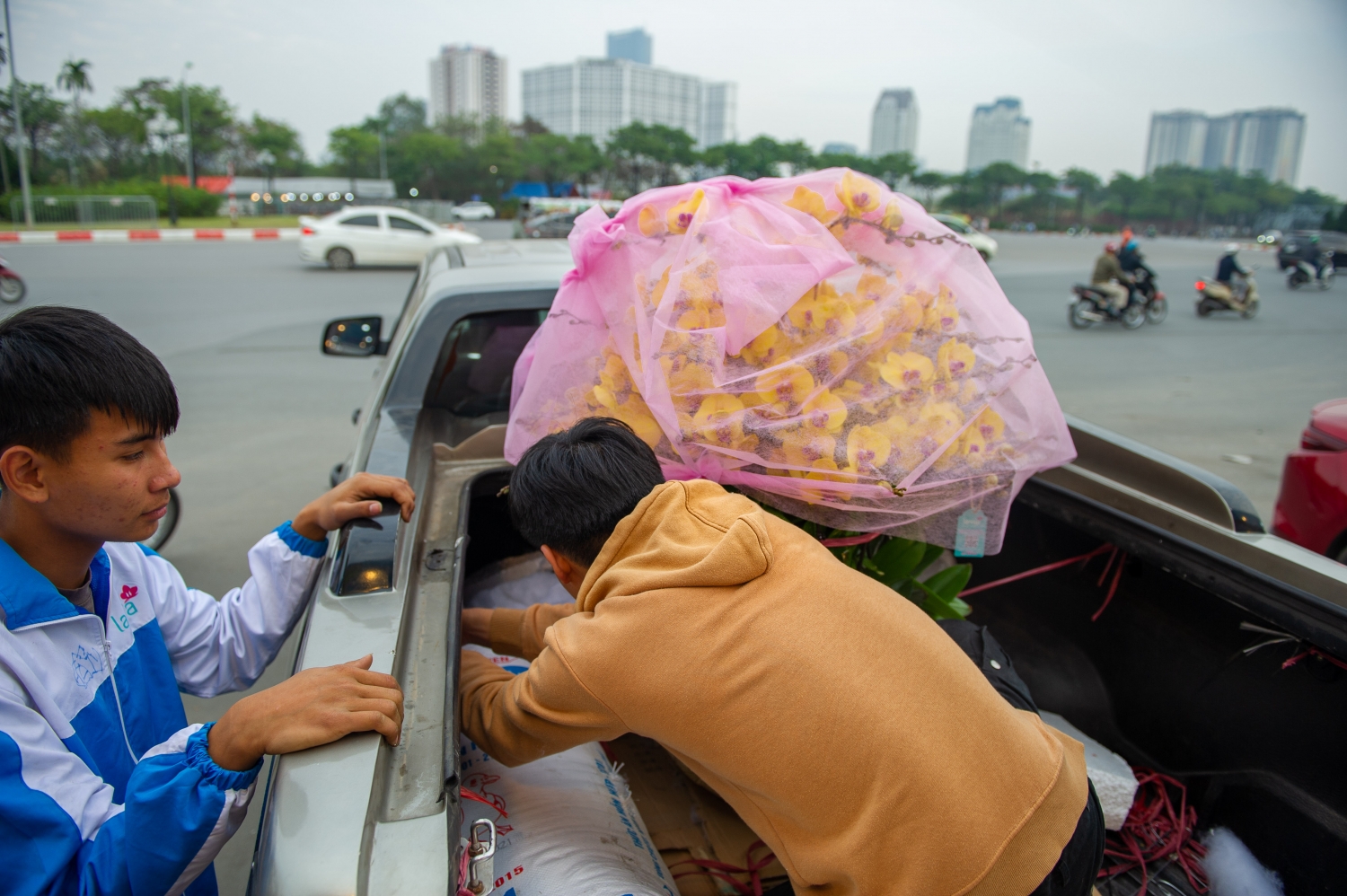 Cận cảnh chậu lan hồ điệp “khủng” được rao bán gần 1,7 tỷ đồng ở Hà Nội