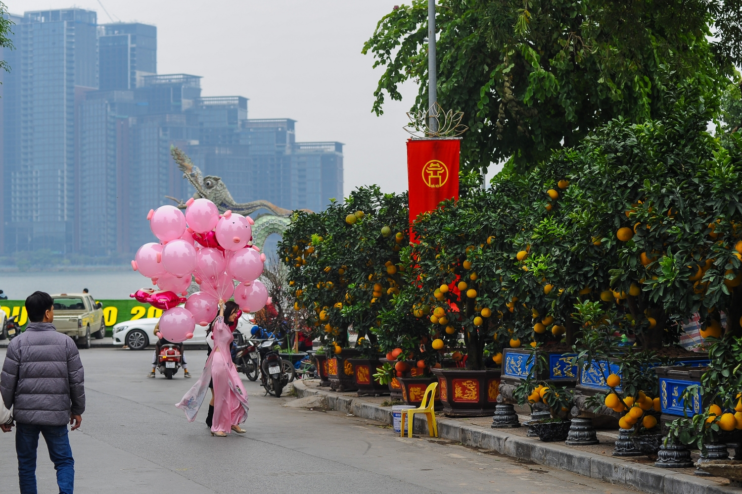 Phố phường Hà Nội tràn ngập sắc hoa Tết