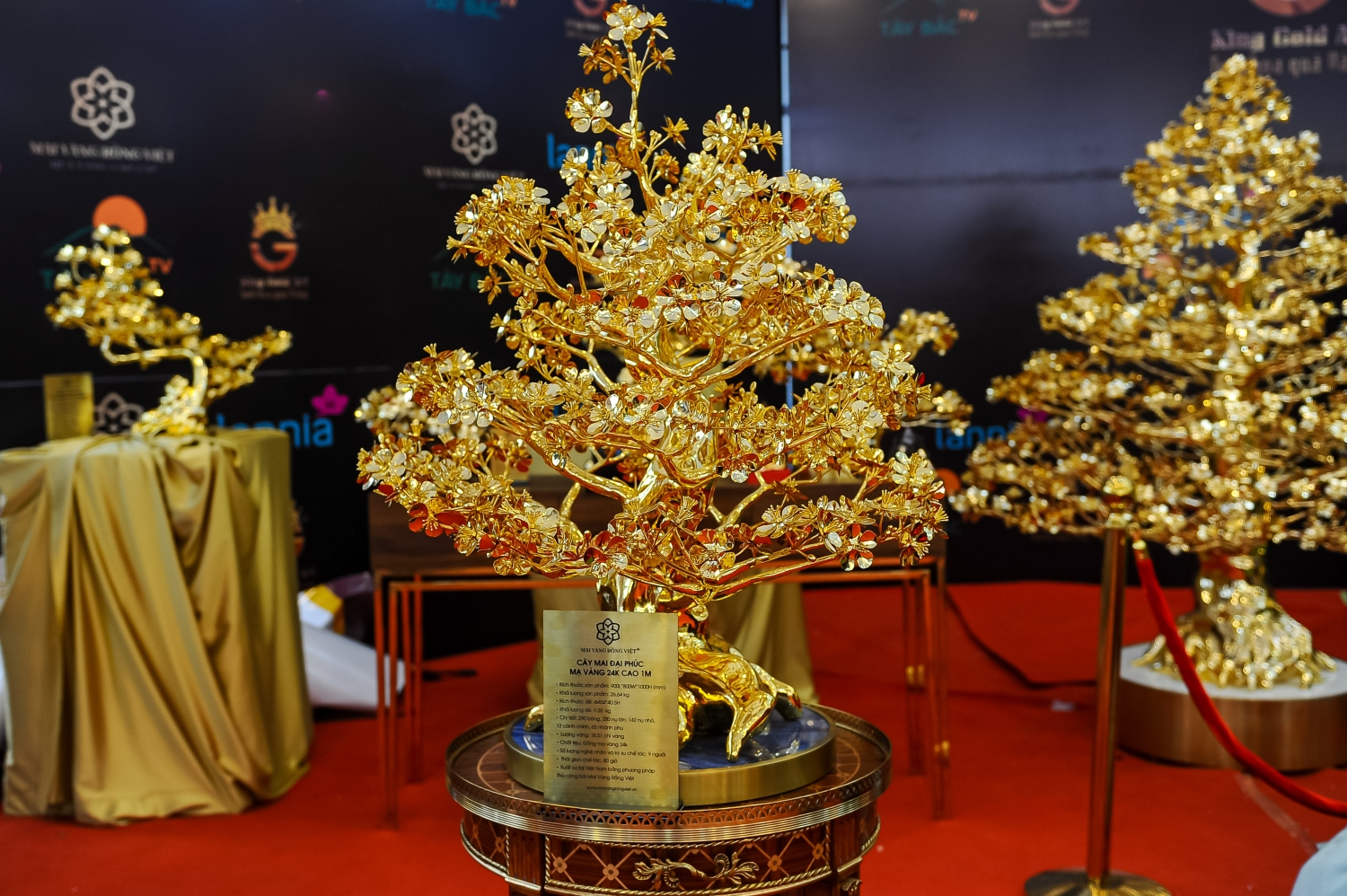 Tết Quý Mão 2023: Cây mai mạ vàng 24k được rao bán gần 6 tỷ đồng ở Hà Nội