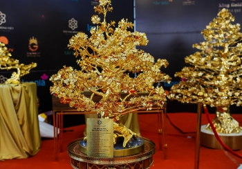 Tết Quý Mão 2023: Cây mai mạ vàng 24k được rao bán gần 6 tỷ đồng ở Hà Nội