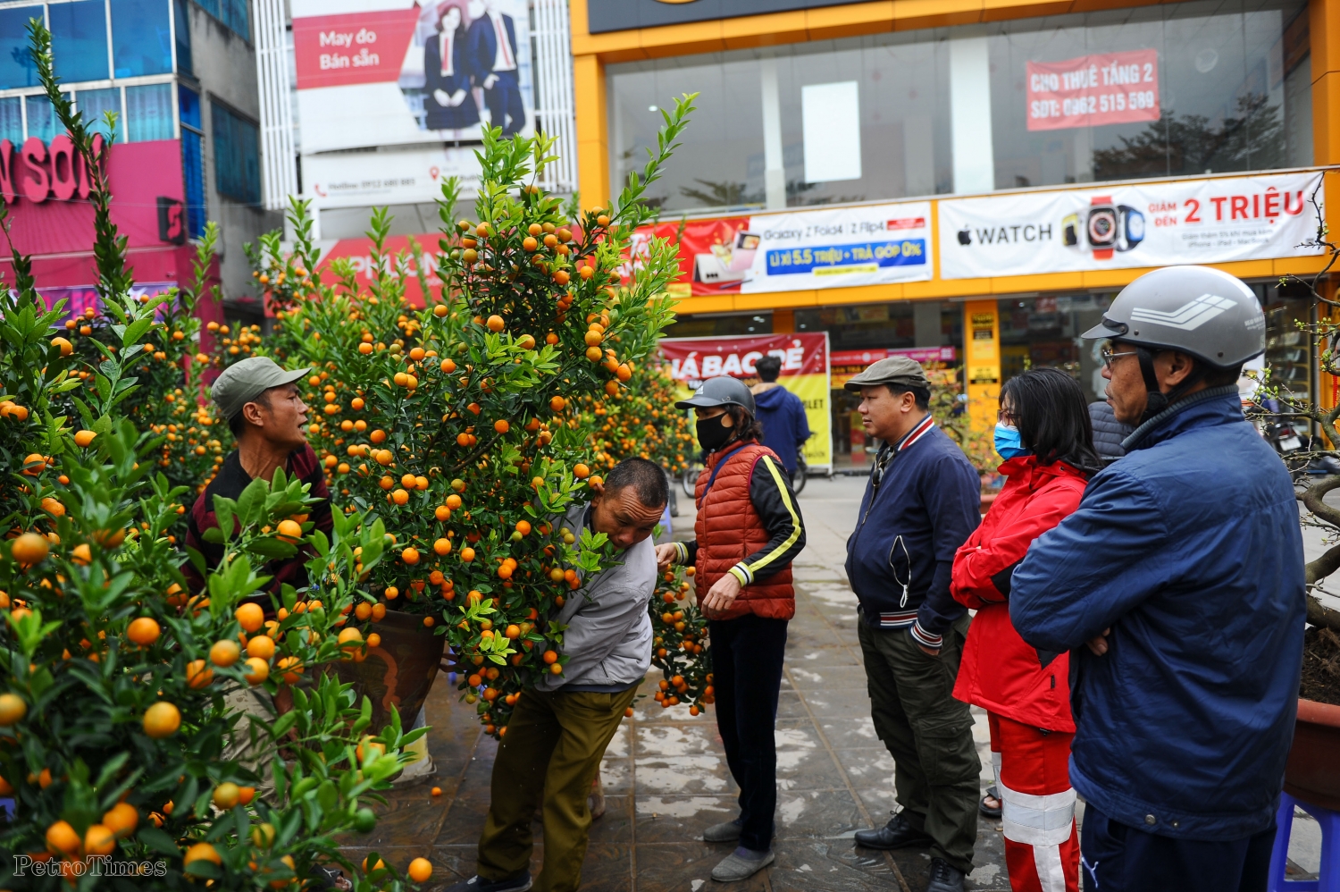 Người dân đổ về các chợ mua hoa giá ngày 29 Tết