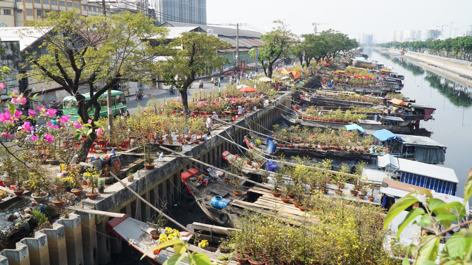 Ngắm chợ hoa “Trên bến dưới thuyền” giữa Sài Gòn