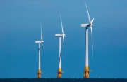 UAE hướng tới mục tiêu 14 GW năng lượng tái tạo năm 2030