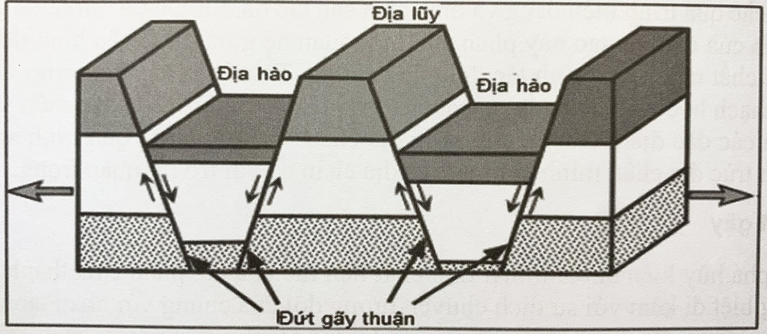 Lịch sử phát triển địa chất trong giai đoạn EocenOligocen Đông Bắc bồn  trũng Cửu Long  Tạp chí Năng lượng Việt Nam