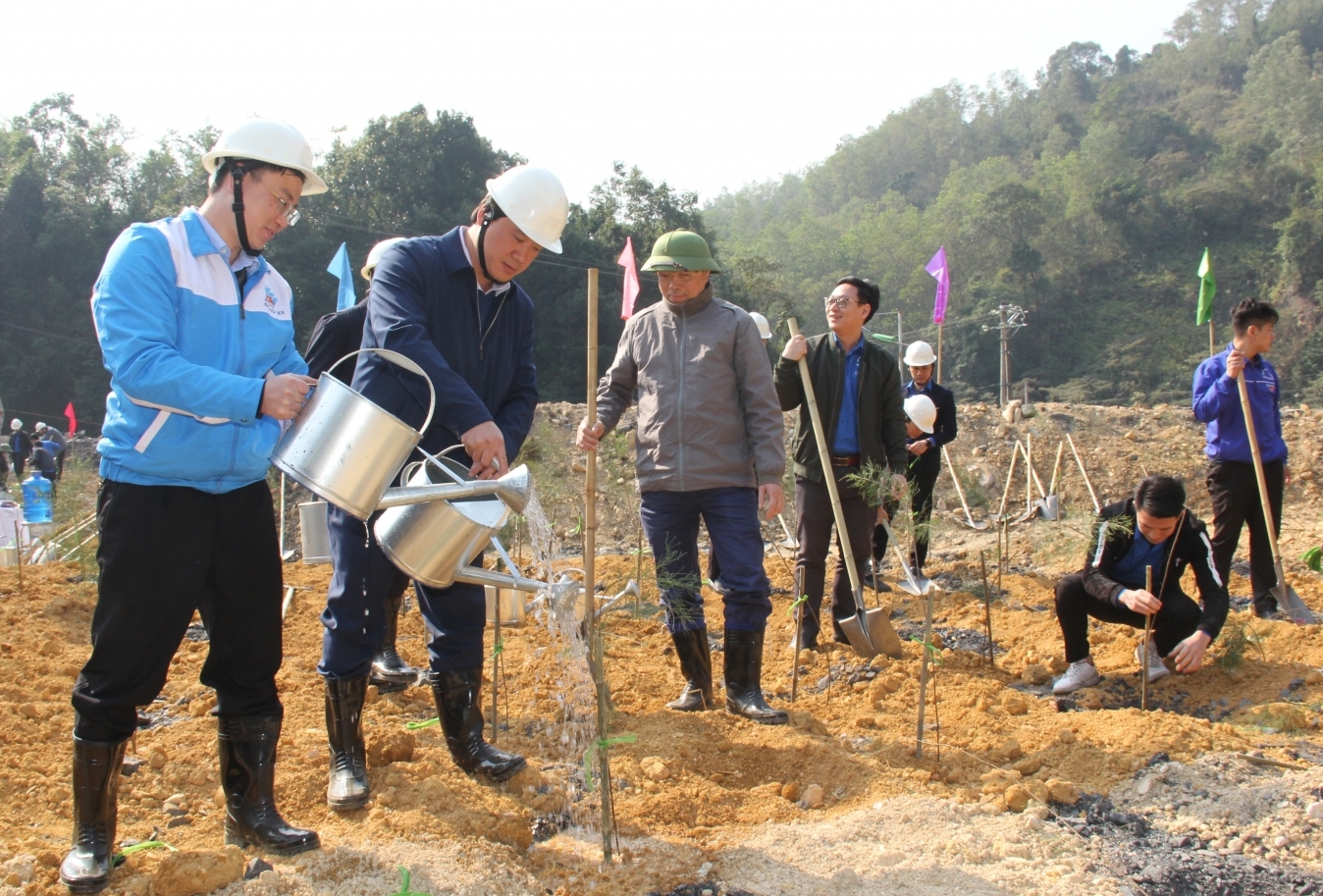 Tuổi trẻ TKV trồng 3.000 cây phi lao hưởng ứng Tết trồng cây năm 2023