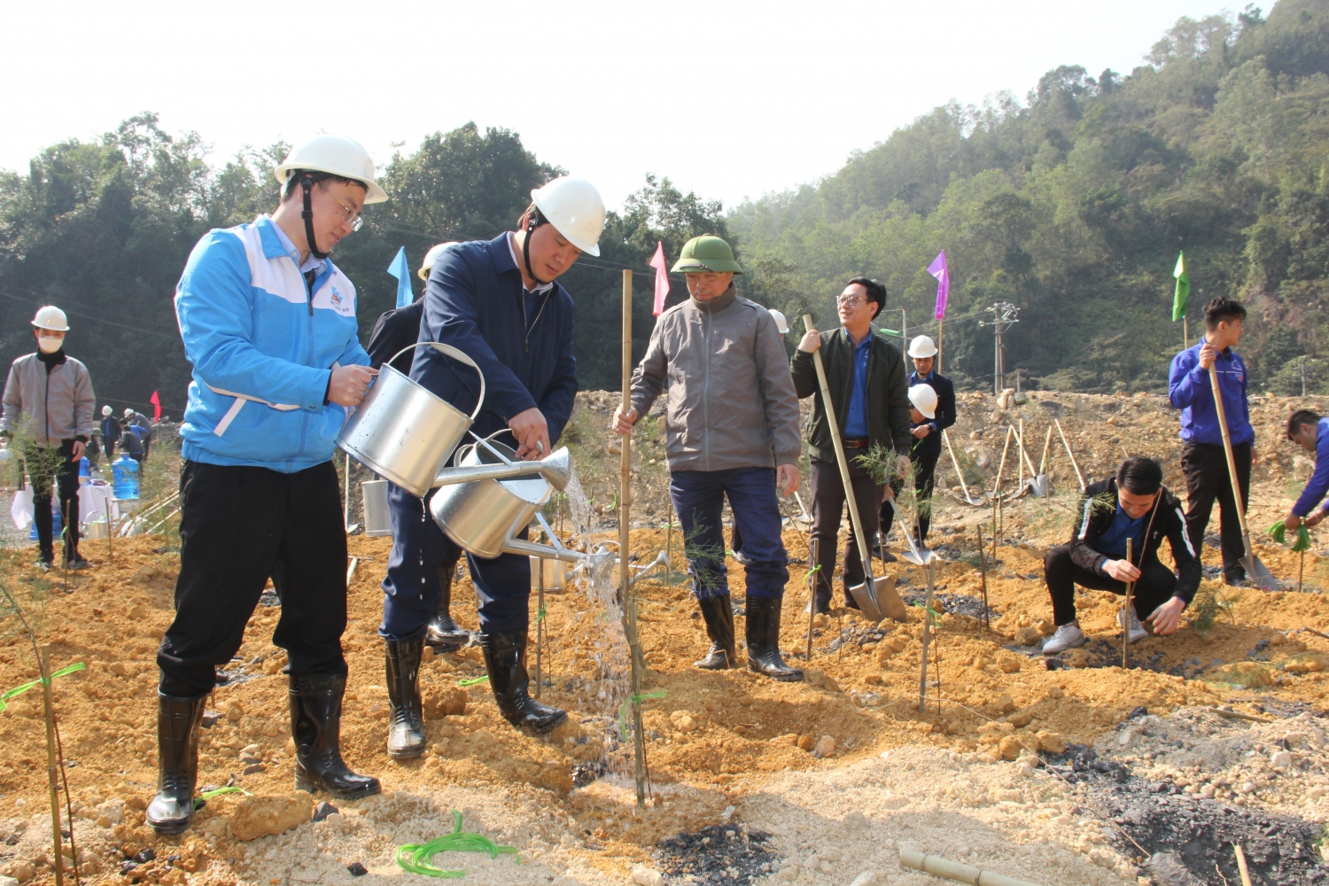 Tuổi trẻ TKV trồng 3.000 cây phi lao hưởng ứng Tết trồng cây năm 2023