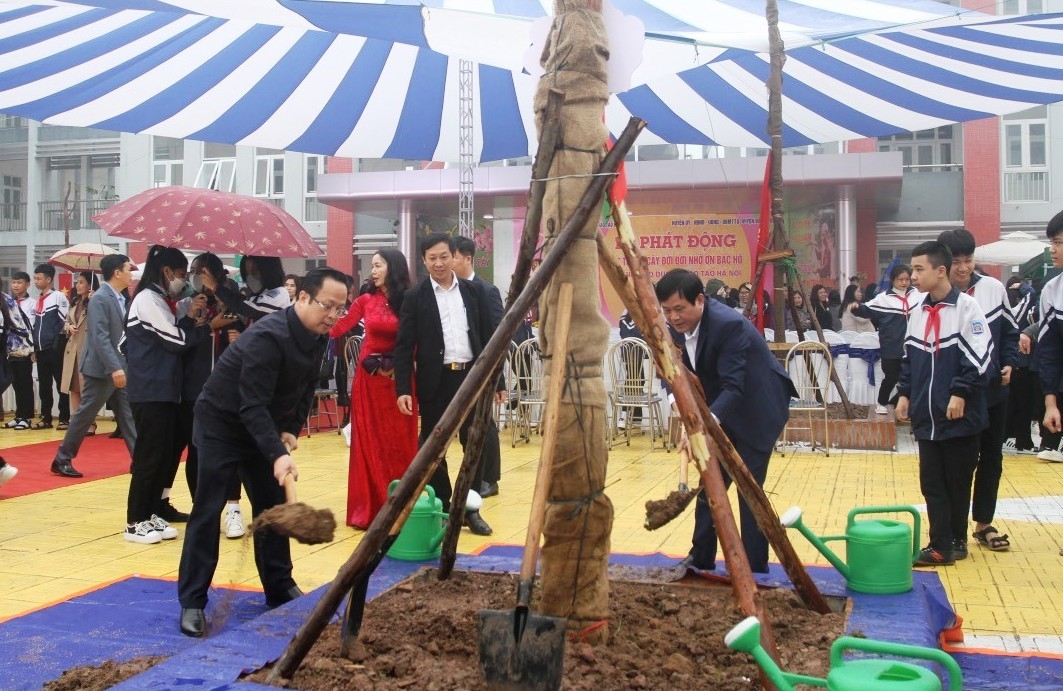 Hà Nội sẽ trồng thêm gần 15.000 cây xanh trong trường học