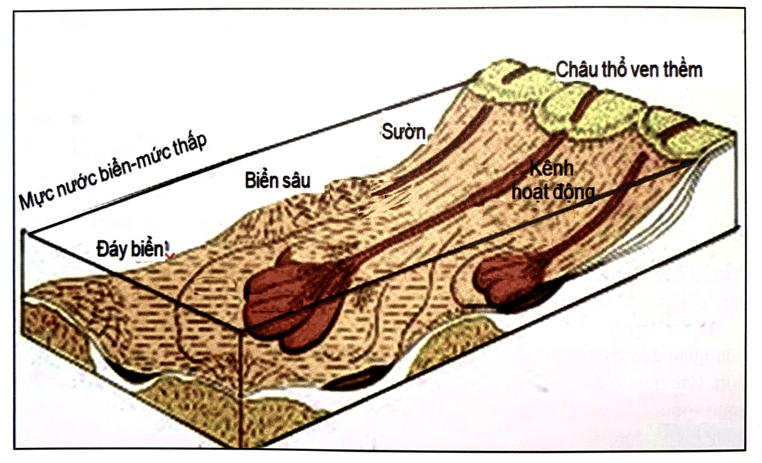 Các yếu tố trầm tích vùng biển nước sâu