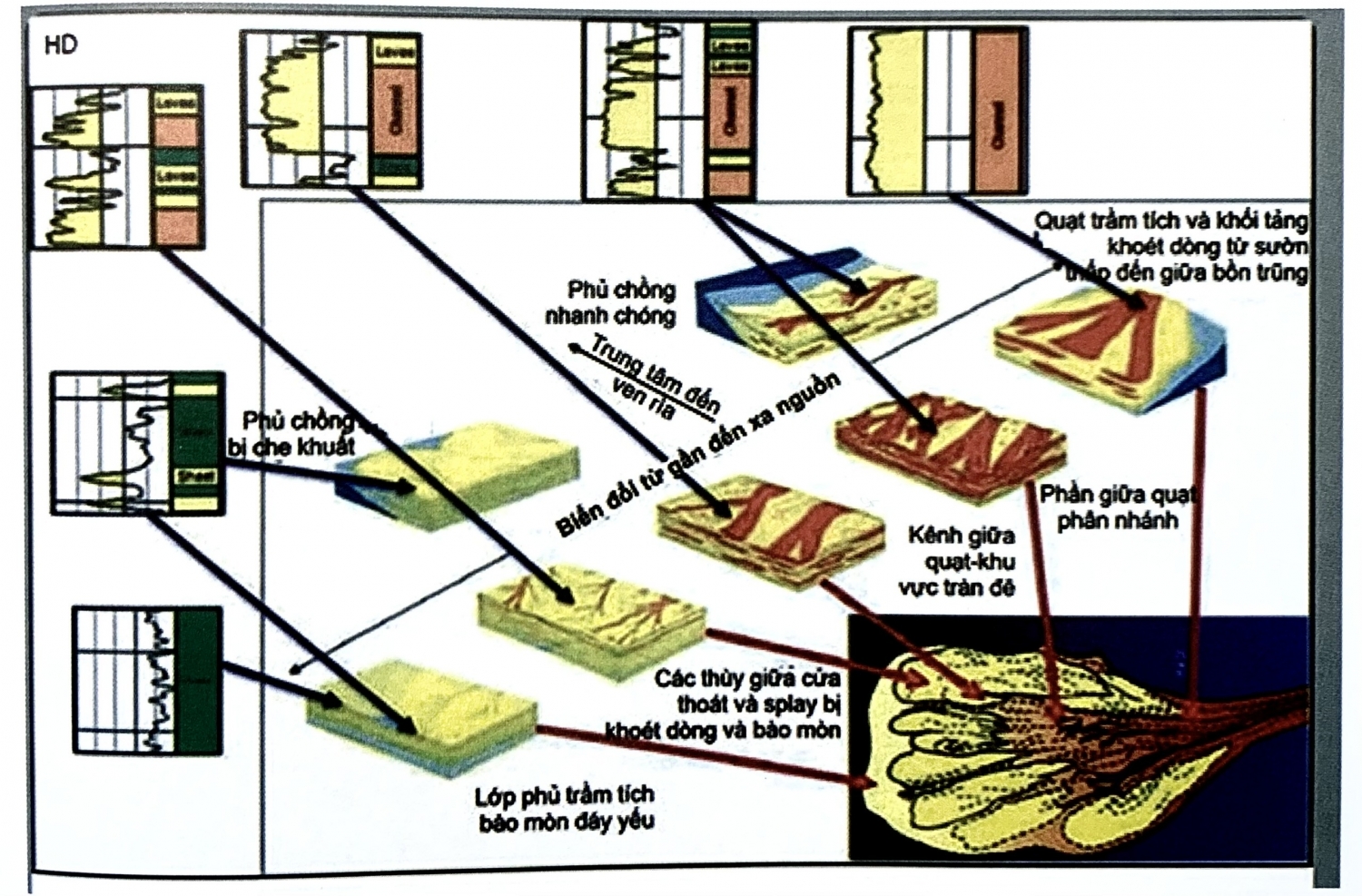 Các yếu tố trầm tích vùng biển nước sâu