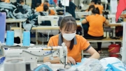 Bộ Tài chính đề xuất gia hạn thời hạn nộp thuế GTGT, TNDN, TNCN và tiền thuê đất trong năm 2023