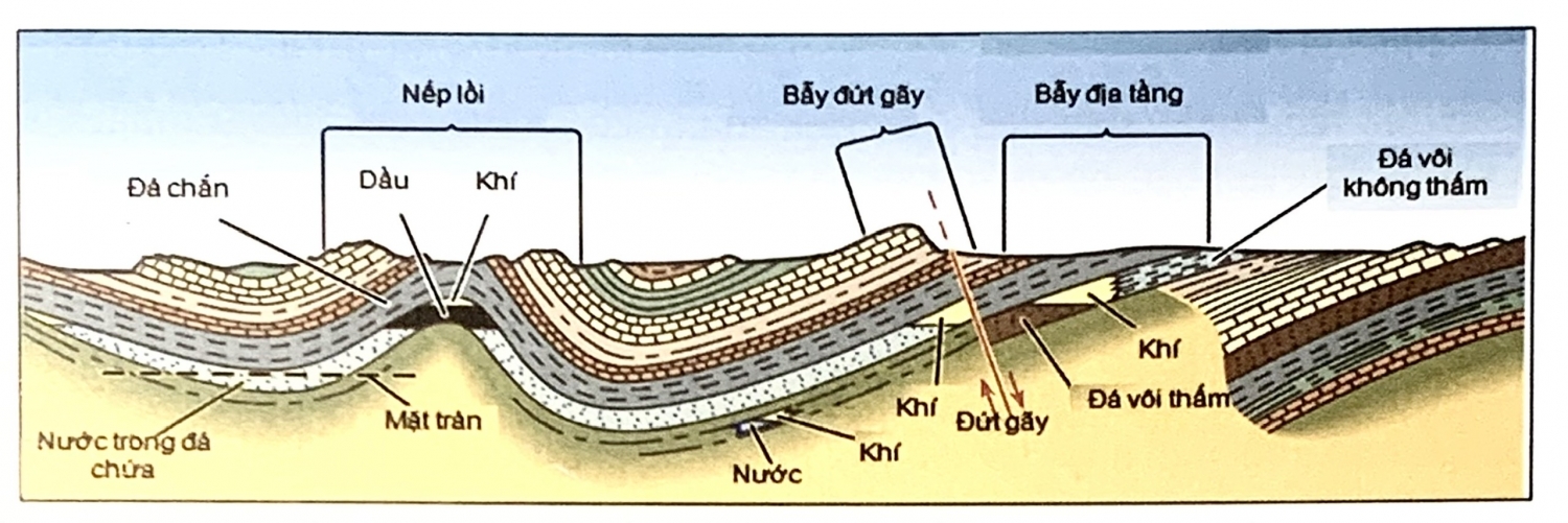 Hệ thống dầu khí - Đá sinh dầu, đá chứa và đá chắn