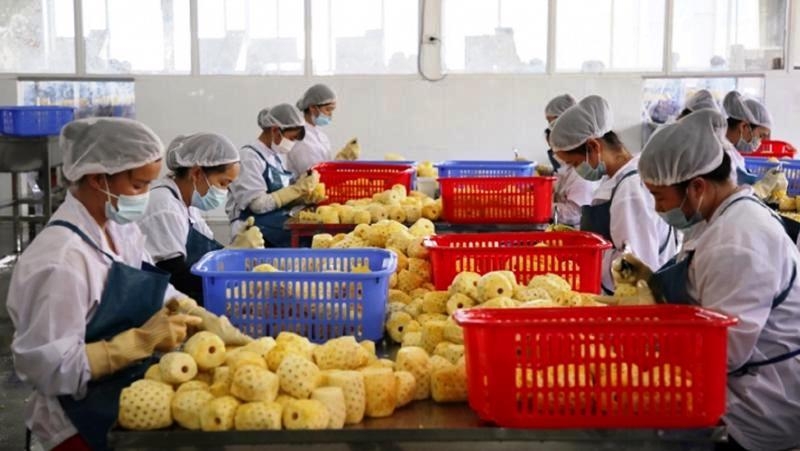 Thúc đẩy giao thương nông sản giữa Việt Nam - Trung Quốc