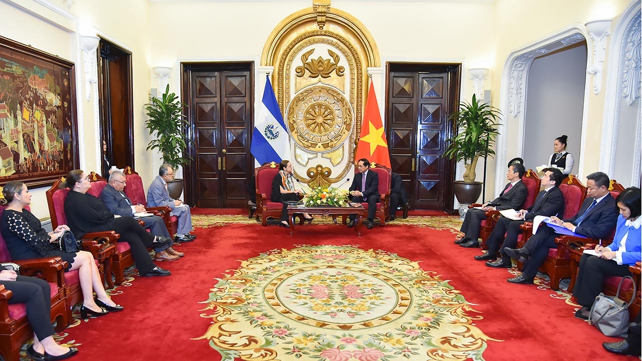 Bộ trưởng Ngoại giao Bùi Thanh Sơn hội đàm với Bộ trưởng Ngoại giao El Salvador
