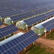 Những thách thức của thị trường năng lượng mặt trời Pháp