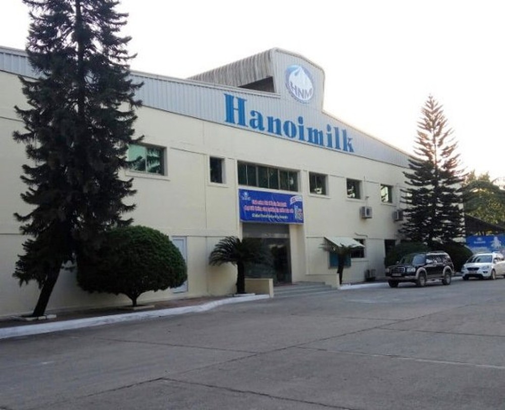 Hanoimilk nợ gần 18 tỷ đồng tiền bảo hiểm của 343 lao động