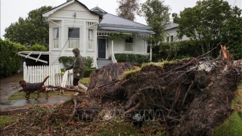 Tin Bộ Ngoại giao: Điện thăm hỏi New Zealand bị ảnh hưởng bởi cơn bão Gabrielle
