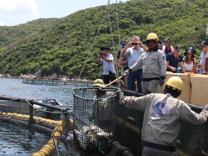 Khánh Hòa làm thí điểm nuôi biển ở tầm quốc gia