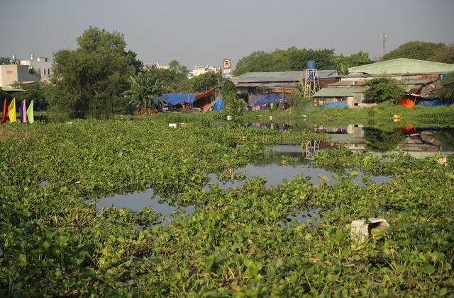 TPHCM khởi công dự án hồi sinh kênh Tham Lương