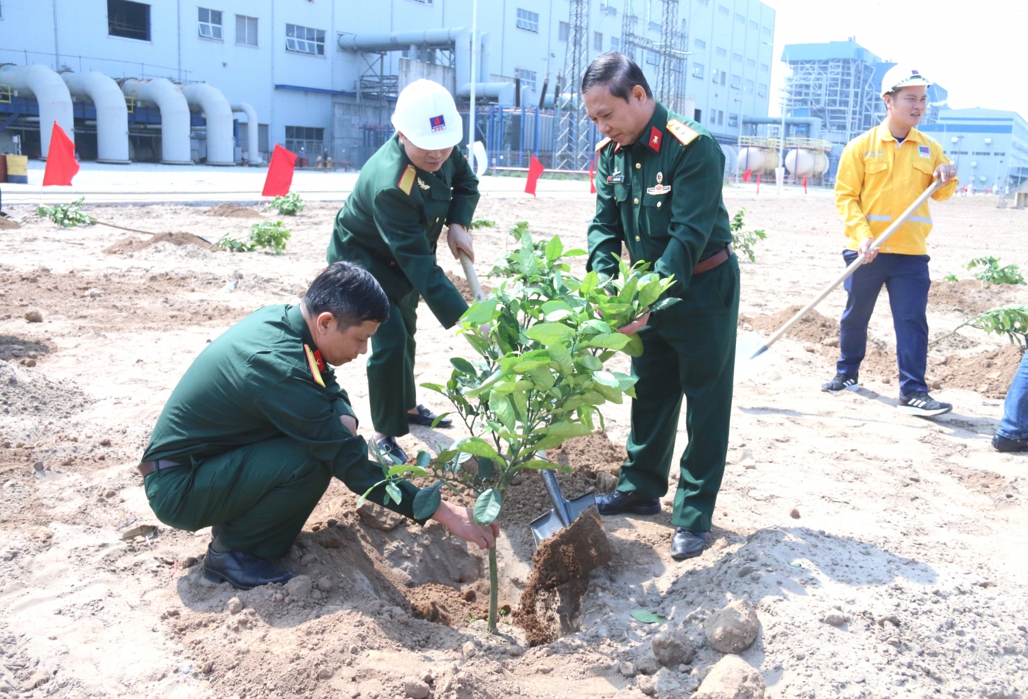 Petrovietnam phát động Tết trồng cây 2023 tại NMNĐ Thái Bình 2