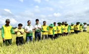 PVCFC kỷ niệm 12 năm thành lập: Hành trình kiến tạo giá trị nông nghiệp Việt