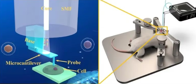 Vi đầu dò sợi in 3D - phát minh mới của nền y học hiện đại