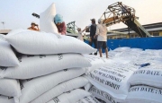 Tin tức kinh tế ngày 11/3: Giá gạo tăng cao nhất trong gần 2 năm qua